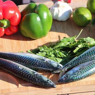 Maquereaux  Maquereaux