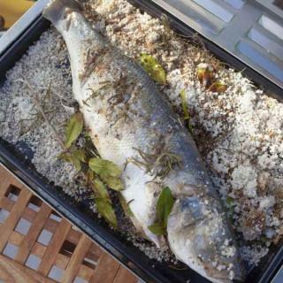 Bar à la plancha au gros sel Bar à la plancha au gros sel